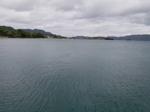 dgex7783ywzg3msdmcj2_480_480-75e31b28.jpg