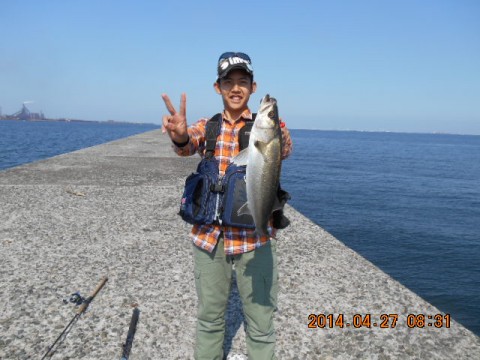 dgv55d5nx9mf4zcbxe7z_480_480-94110b7b.jpg