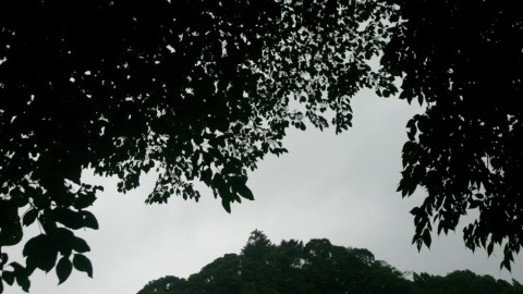 dh2ghnho3pdfta5h7yvw_920_517-65f6162b.jpg