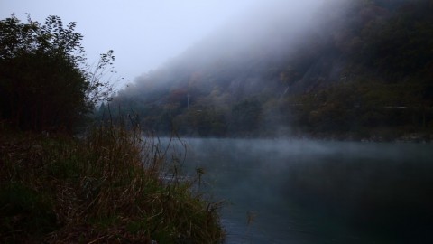 dh877dzitbsugnac5o6z_480_480-51ff9323.jpg