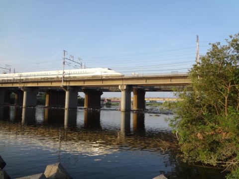 dhgyz3nxjvw6dnebsddn_480_480-663cd882.jpg