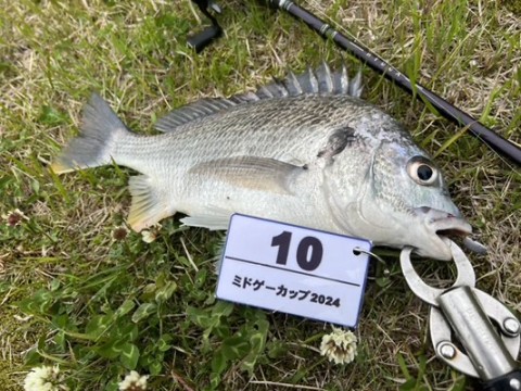 dhh647akzv5ypihfg7g6_480_360-f70918b8.jpg