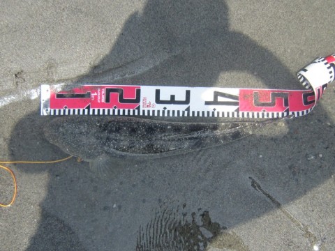 dhjprnythovcpy9svph2_480_480-14e54329.jpg