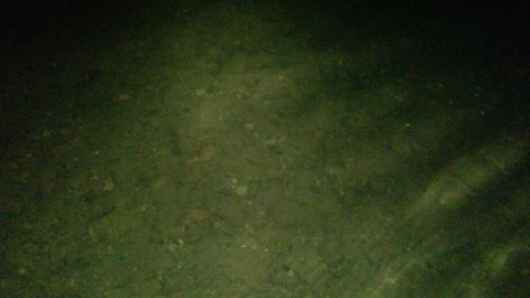 dhmeef7iyzfzboty5gpr_920_517-6796a4d5.jpg