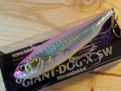 diecdbwzgdsfaex85aio-f6490790.jpg