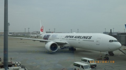 dim8bv3dtojhjuegtijp_480_480-59f544a9.jpg