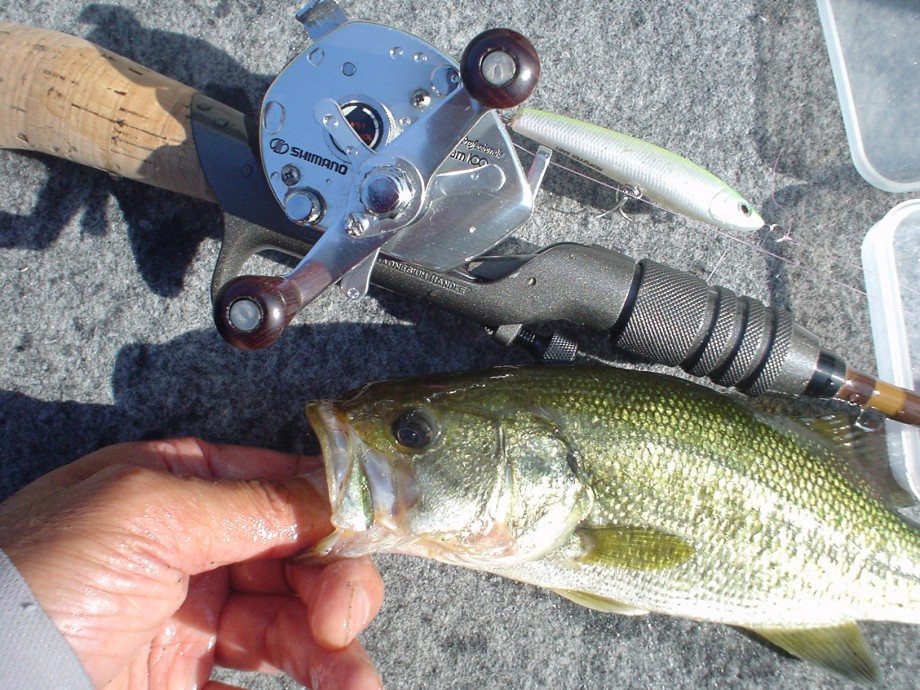 FISH or DIE! / 右手に竿！左手には棹！】 梅雨は何処へ？＞FO