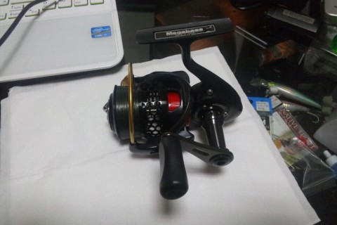 dj228m2sy8xwtnxny359_920_613-66f0bd14.jpg