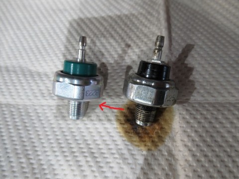 dj6kb57ec3zcbug3kczz_480_480-09fbc273.jpg