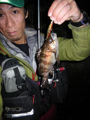 djk8i7p3b92g69pedbig-2b0be46e.jpg