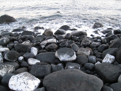 djtezitd784k2m9866c5_480_480-b18672a6.jpg