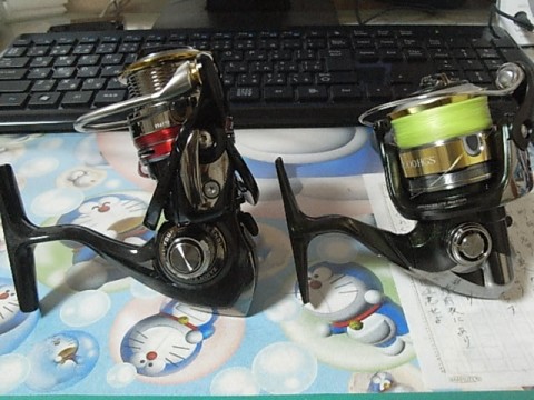 djwn6kie9rm7wd3g37wf_480_480-1d64cdaa.jpg