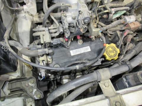 djzrruacnzw4aa7tjcsj_480_480-41359d75.jpg
