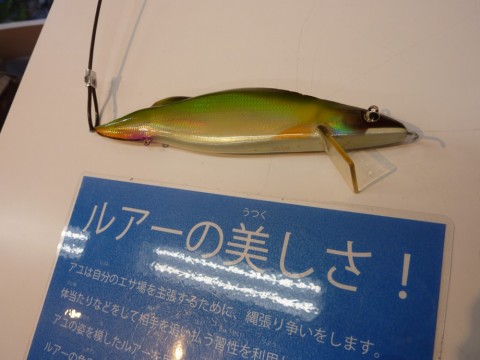 dk244hxyivnkbxh4mam8_480_480-69391a50.jpg
