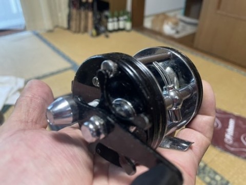 dk29cw5tsh5scvbznanj_480_361-45efbc60.jpg