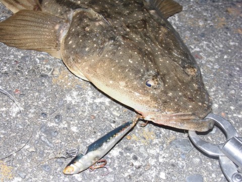 dk3zdrh7pjbi398wr23g_920_690-e2ac00d0.jpg