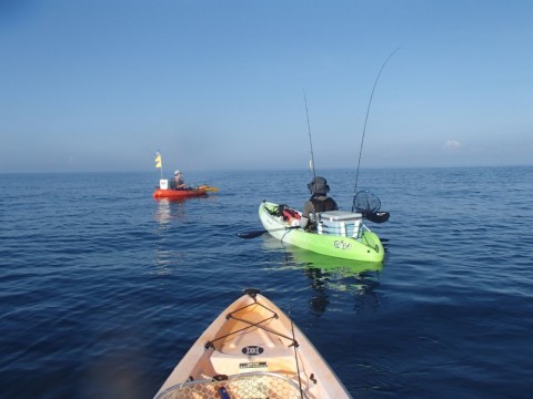 dk6ficaj4wxmtuhakn2c_480_480-5da2395c.jpg