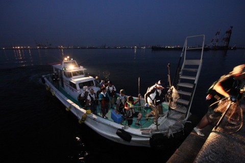 dk9zf9afmgfrsmutcrku_480_480-213b065c.jpg