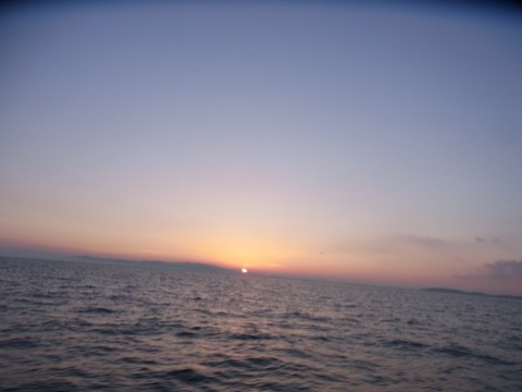 dkjg3w8cxpw6uwnw6kri_480_480-f91268c5.jpg