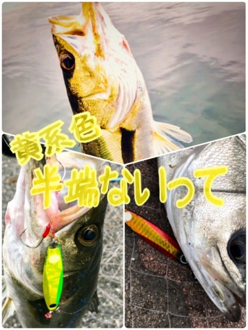 dkn4prjnwfhvn3fxw2pn_480_480-1938c751.jpg