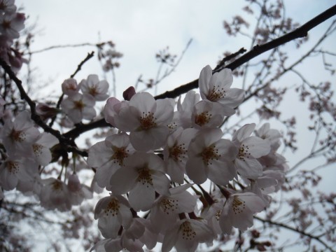 dknsxfii788f4wuj9g7v_480_480-45995e87.jpg