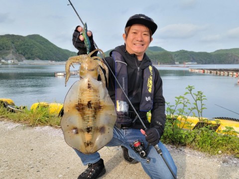 dkscw2k9krvyoto29b8g_480_480-a6880a6e.jpg