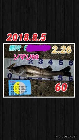 dme2bews5jp7k4oojvme_480_480-03081f60.jpg