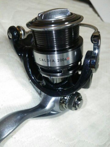dmn7i7ur3gruavm4ppox_480_640-a00cc7bd.jpg
