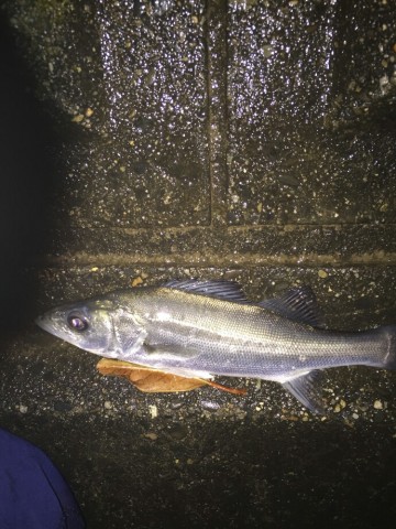 dmuy6mr7h8bttg886oau_690_920-62b3d73c.jpg