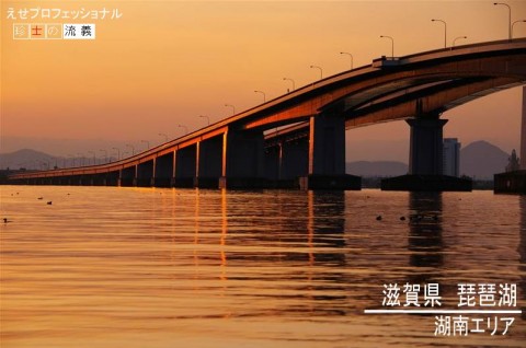 dmzksggyzyn43nr3jov5_480_480-0c18ff9b.jpg