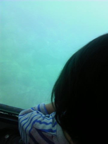 dnmz2dpmmkpyjs7xwyf4_480_480-60d9e67c.jpg