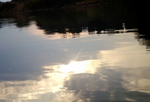 dnnod5yzau7n56fdfofy_920_625-cf960b8e.jpg