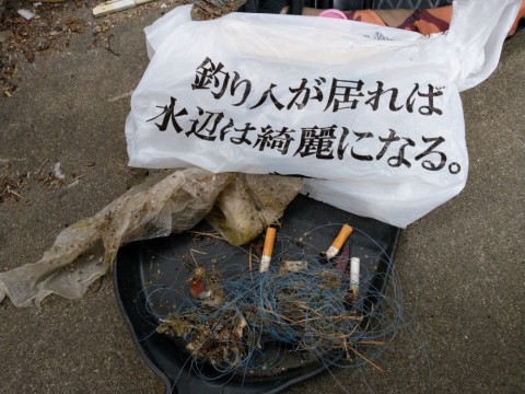 dodsa3u2yh2rx8hh48f7_480_480-078e266d.jpg
