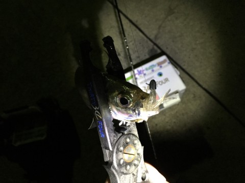 doe2wj8fuo66r6mnvkjj_920_690-eb4418d4.jpg