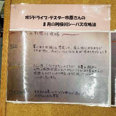 dof8wibbmijysxmsk7gj-6dcb01bd.jpg