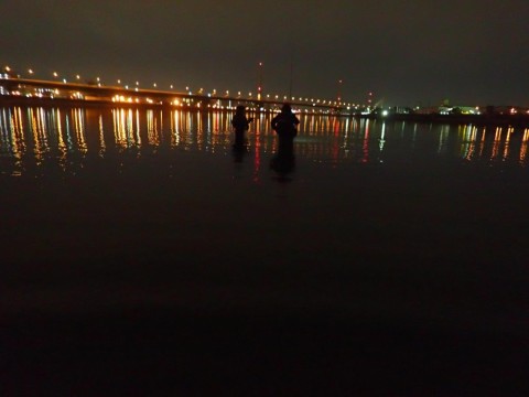 dp4vyiddctmw4f2w62d2_480_480-b5060126.jpg
