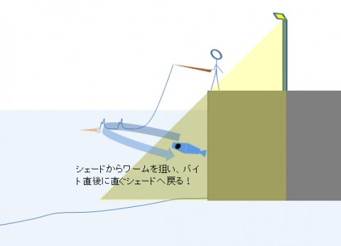 dp5m6mx78dk3kj3vssz5_480_480-a0f9422d.jpg