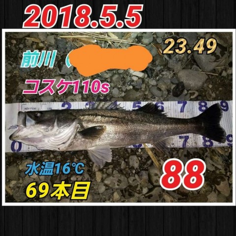 dp5si77ngpy5jtw6ftup_480_480-e5588487.jpg