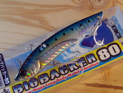 dp6dg5r4hfssjoz48vhz-68a885d6.jpg