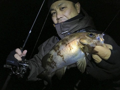 dp6fieter3xfemempaez_480_480-fa2c06b4.jpg