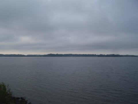 dp7n28g9mmtbnd5k4ed8_480_480-5a52df3a.jpg