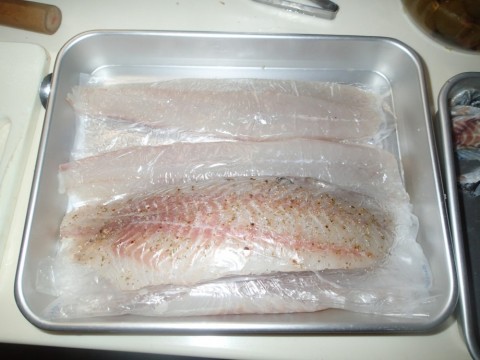 dpedsabnat5haboipxmx_480_480-cd1c98cb.jpg