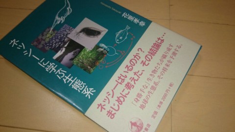 dpem6ewg98j3g3654hnm_920_518-e4667475.jpg