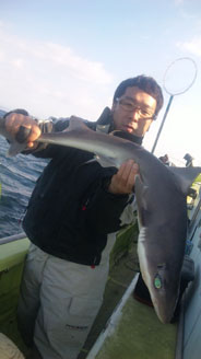 dph3hkpidpy87w4n73xv-e519e813.jpg