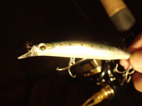 dpkhduoyfux9t2vcdcby_480_480-9c24f894.jpg