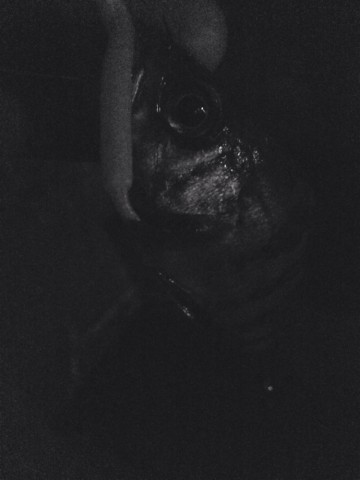dr4z9s3t8323mk8nrppv_690_920-0827dd15.jpg