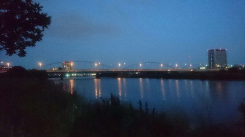 drizcvotxmujjfk4si8w_480_480-e9fae881.jpg