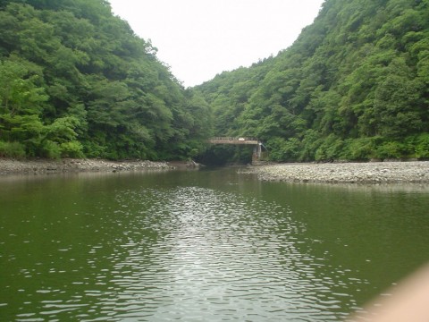 drpttwut8mc373hnjz76_480_480-c7780b03.jpg