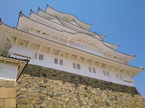 drupj5wjwbkpte3s54gn_640_480-364a95df.jpg