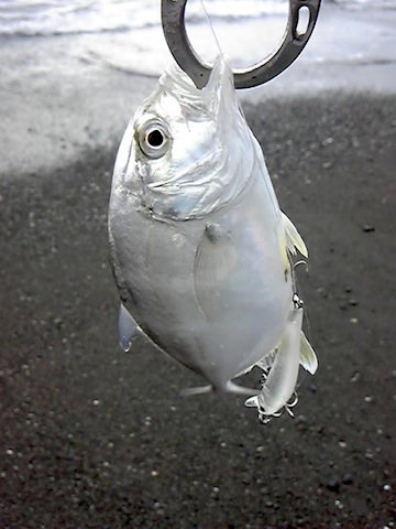 dscm622o5s3jnbhn3hbv-7ae929a6.jpg